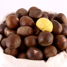 chestnut for sale in china shandong